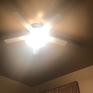 Meet your Posher, Caleb